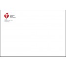 AHA 10x13 Catalog Envelope 500/unit