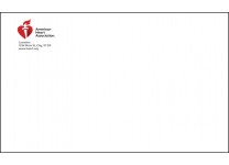 AHA 6x9 Booklet Envelope 500/unit